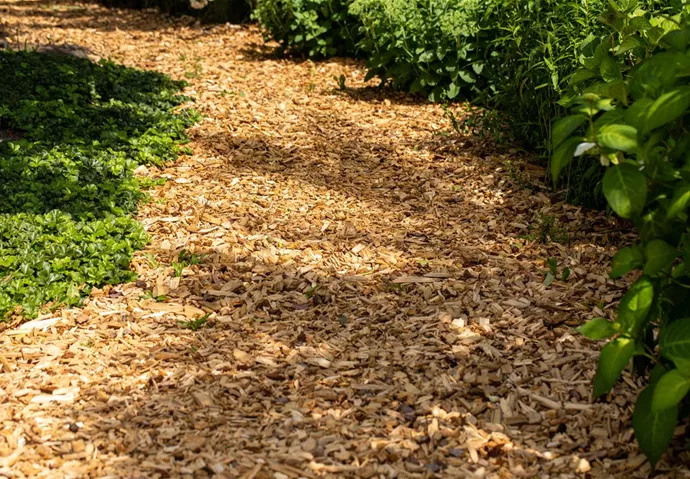 Rindenmulch bietet zusätzlichen Schutz im Garten