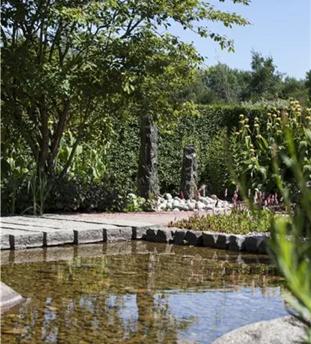 Der Wassergarten - Harmonie und Bewegung zugleich