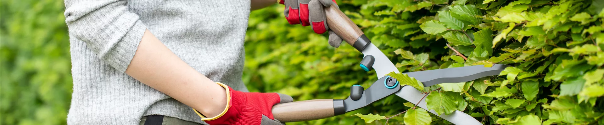 Gartengeräte - Arbeit mit Heckenschere Gartengeräte - Arbeit mit Heckenschere