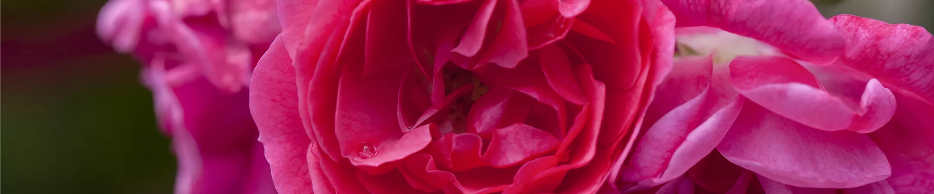 2016-9-22.17-16.GS499225 2016-9-22.17-16.GS499225