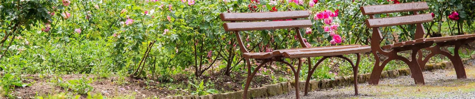 Ambiente im Rosengarten Ambiente im Rosengarten