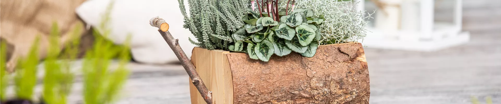 Pflanzgefäß aus Holz im Ambiente Pflanzgefäß aus Holz im Ambiente