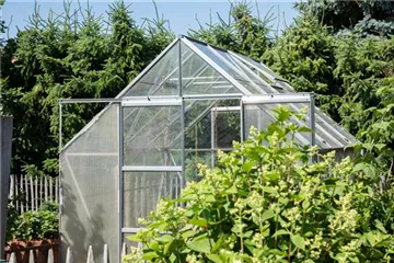 Ein Gewächshaus anlegen Ein Gewächshaus anlegen