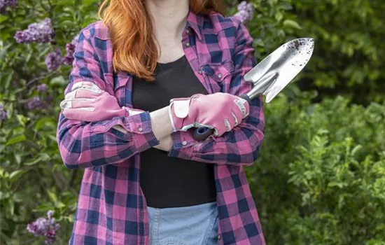 Es ist soweit: der Frühjahrsputz im Garten Es ist soweit: der Frühjahrsputz im Garten