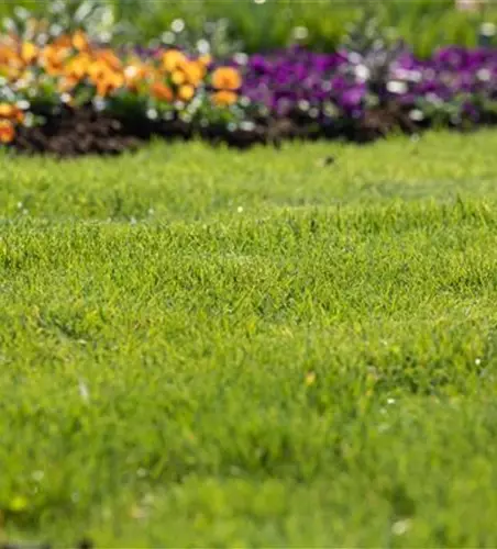 Frühjahrskur für den Rasen – endlich wieder durchatmen