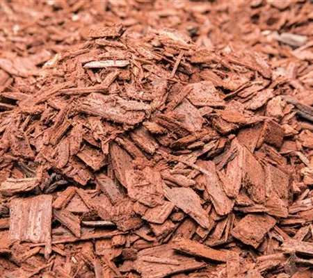 Der Mulch macht’s Der Mulch macht’s