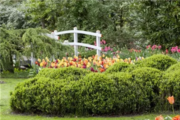 Eine Holzbrücke selber bauen Eine Holzbrücke selber bauen