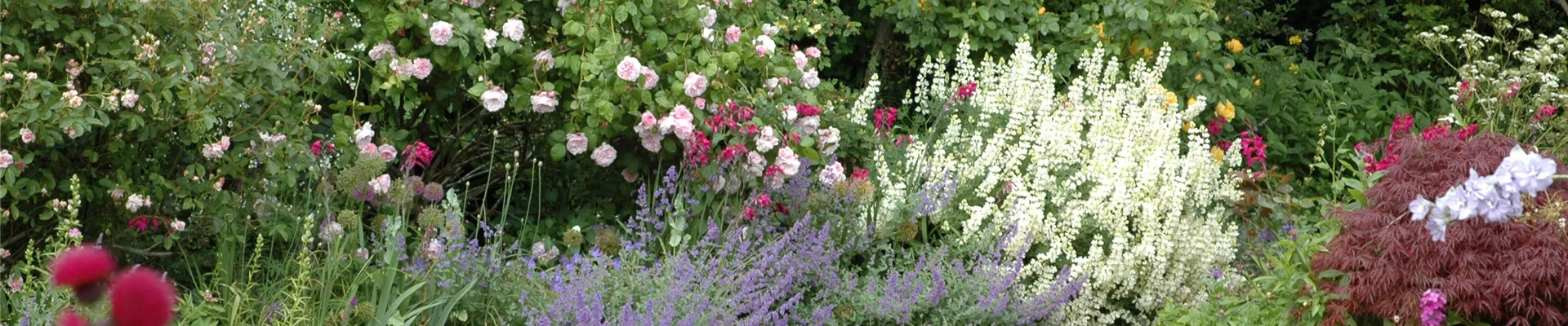 Gartenansicht Gartenansicht