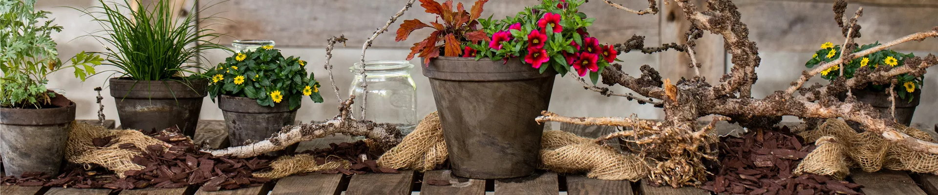 2020-7-7.10-31.GS663086_ 2020-7-7.10-31.GS663086_