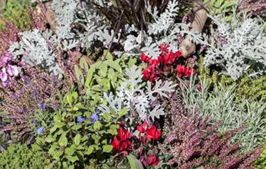 Die Grabpflege im Herbst Die Grabpflege im Herbst