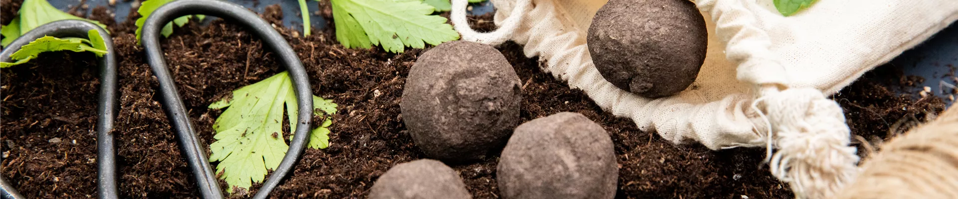 Aussaat - Seedbombs Aussaat - Seedbombs