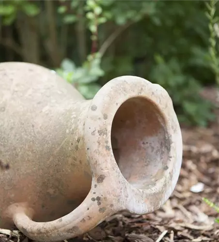 Möchten Sie Ihren Garten umstylen? So geht es ganz schnell 