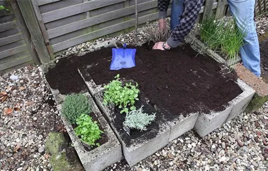 Kräuter - Einsetzen in Pflanzsteine Kräuter - Einsetzen in Pflanzsteine