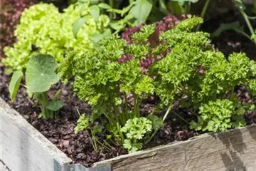 Das DIY-Hochbeet: nützlich, modern und super praktisch Das DIY-Hochbeet: nützlich, modern und super praktisch