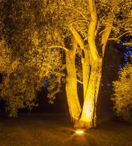Weihnachts-Lichter-Gärten