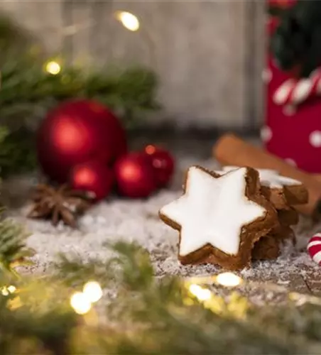 Grüne Kugeln – die etwas andere Weihnachtsdeko