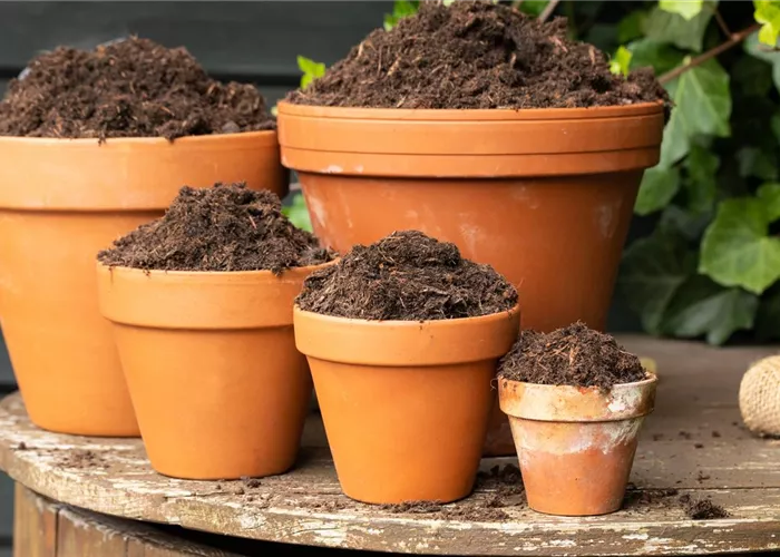 Gartenartikel Gartenartikel