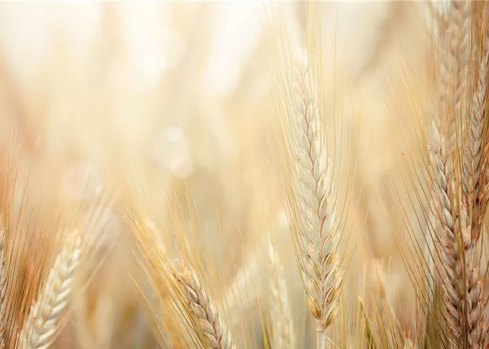 Über uns  Über uns