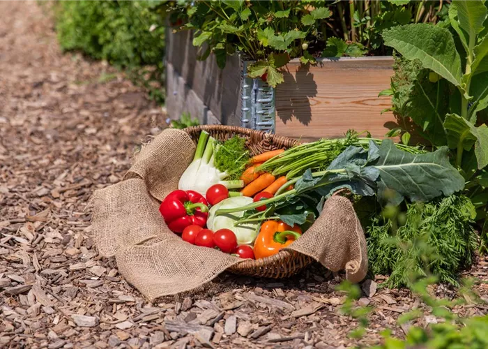 Aktuelles Garten Aktuelles Garten