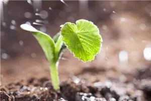 Aktuelles aus dem Agrar-Bereich: Aktuelles aus dem Agrar-Bereich: