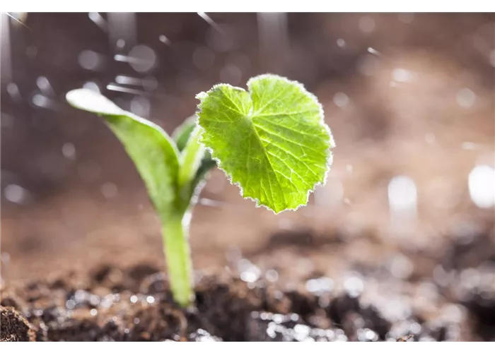 Aktuelles aus dem Agrar-Bereich: Aktuelles aus dem Agrar-Bereich: