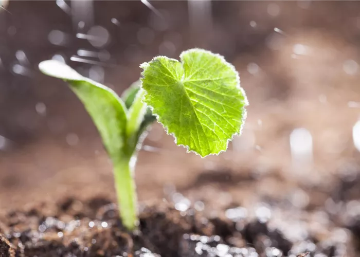 Aktuelles aus dem Agrar-Bereich: Aktuelles aus dem Agrar-Bereich: